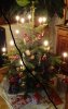 Weihnachtsbaum_2016.jpg